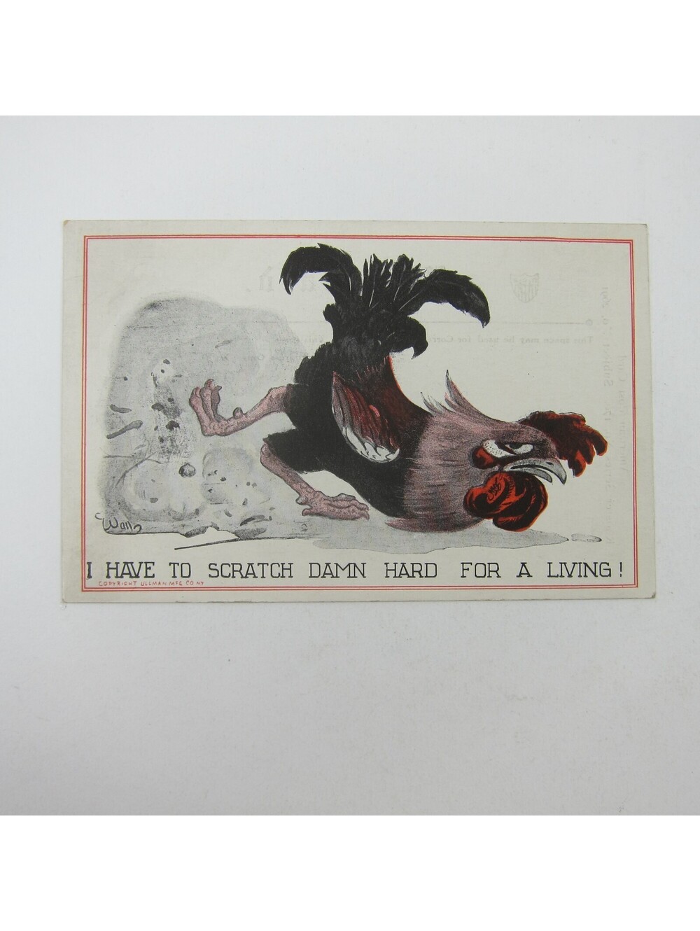 Postcard Bernhardt Wall Rooster Series 170 Scratch Hard for A Living Antique